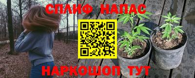 соль ск Краснодар