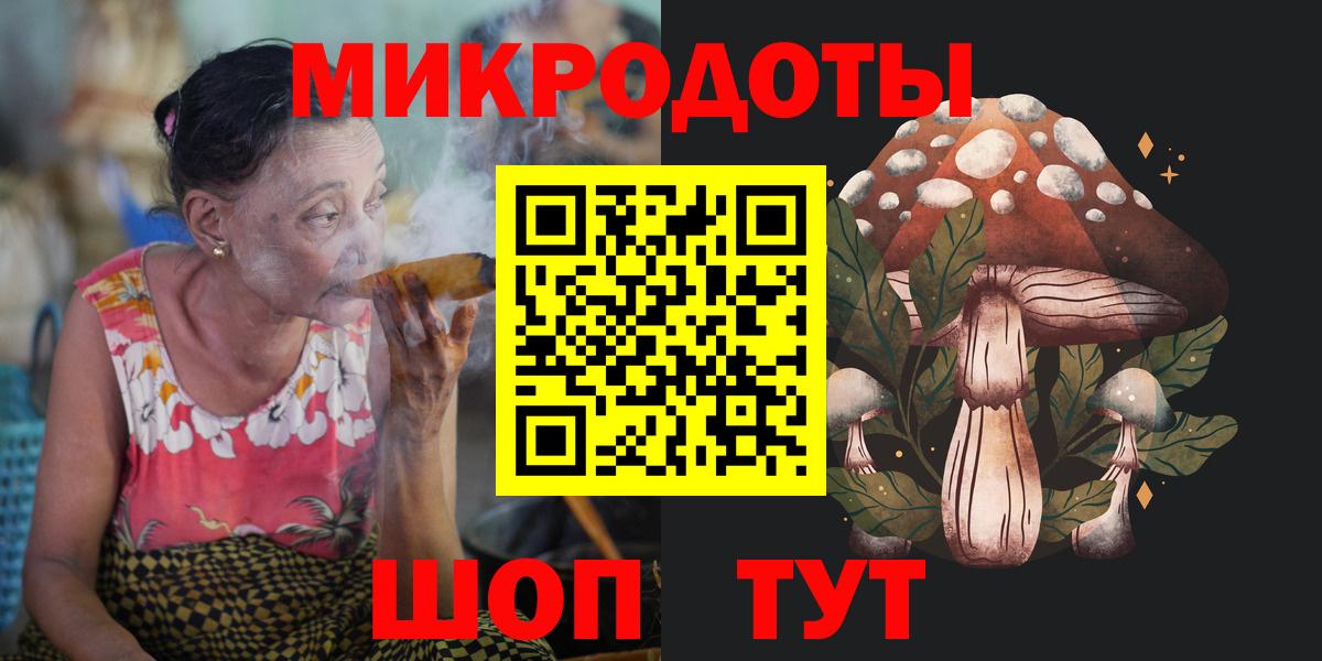 Псилоцибиновые грибы Psilocybe Донецк