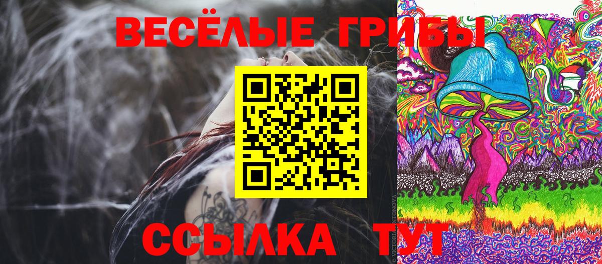 Псилоцибиновые грибы Psilocybe  Вход с VPN  Галлюциногенные грибы ЛСД  Донецк 